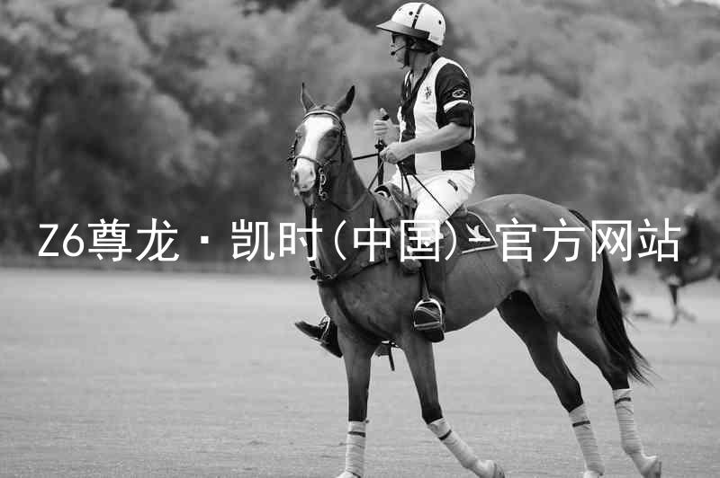 Z6尊龙·凯时(中国)-官方网站