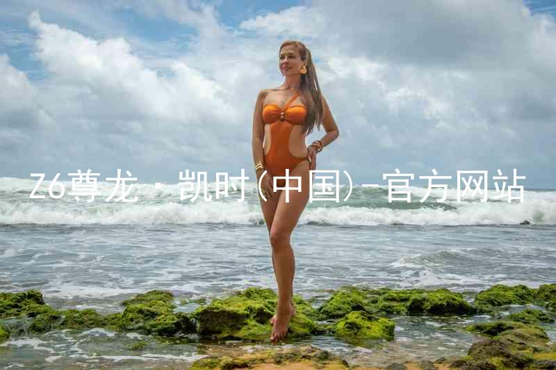 Z6尊龙·凯时(中国)-官方网站