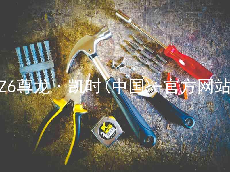 Z6尊龙·凯时(中国)-官方网站