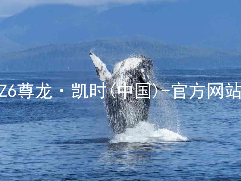 Z6尊龙·凯时(中国)-官方网站